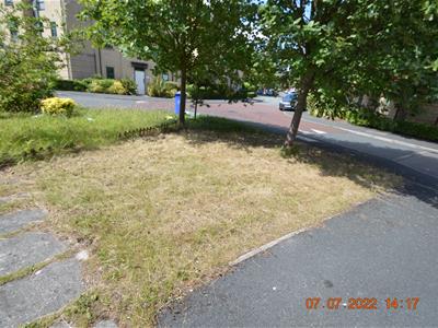 Picture 13